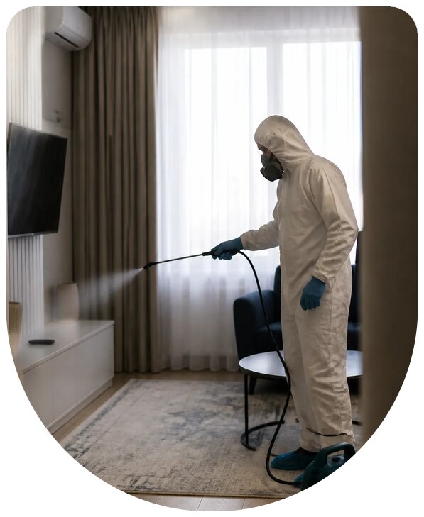 Профессиональная дезинфекция квартиры с гарантией в Мысках